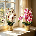 12-bloom Artificial Phalaenopsis Orchid In Golden Pot For Home Office