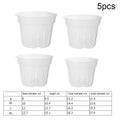 Orchid Pot 5 Pack Clear Grow Box Large Xl Orchid Pots Plastic Orchid