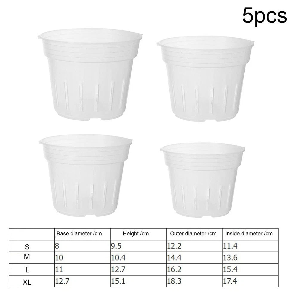 Orchid Pot 5 Pack Clear Grow Box Large Xl Orchid Pots Plastic Orchid