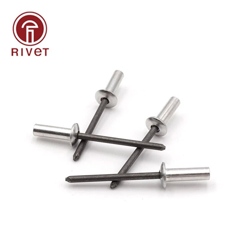 Din 15973 M3*6/7/8/9/10/<wbr/>12 Rivets Closed End Blind Round Head