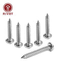 316 A4-70 Phillips Pan Round Head Self Tapping Wood Screw Gb845 Din