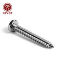 Stainless Steel Cross Phillips Pan Round Head Self Tapping Screw