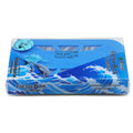 Treefrog Japan Air Freshener Box Ocean Squash Scent | Built Supply Co