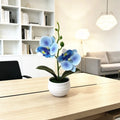Artificial Phalaenopsis Orchid For Office Home Wedding Photography