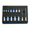 Capri Tools Master Xzn Bit Socket Set, M4 To M18, 14-piece W/ The
