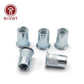 Big Countersunk Head Rivet Threaded M3 M4 M5 M6 M8 Plated Insert Vertical Lines