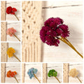 Floral Artificial Hydrangea Bouquet Soft Rubber Fake Plants For Home