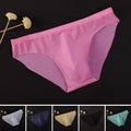 Underpants Underwear Sexy Low Waist Panties See Through Solid Thongs