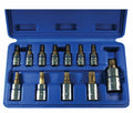 12-Piece Star Bit Socket Set 1/4", 3/8", & 1/2" Drive