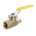 XFITTING 1/2" PEX B Female Valve Lead Free