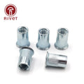 Rivet Nuts Threaded NutsCarbon Steel Zinc Plated Insert Head Vertical Lines