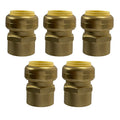 XFITTING 3/8" Pex Coupling 10 Pack