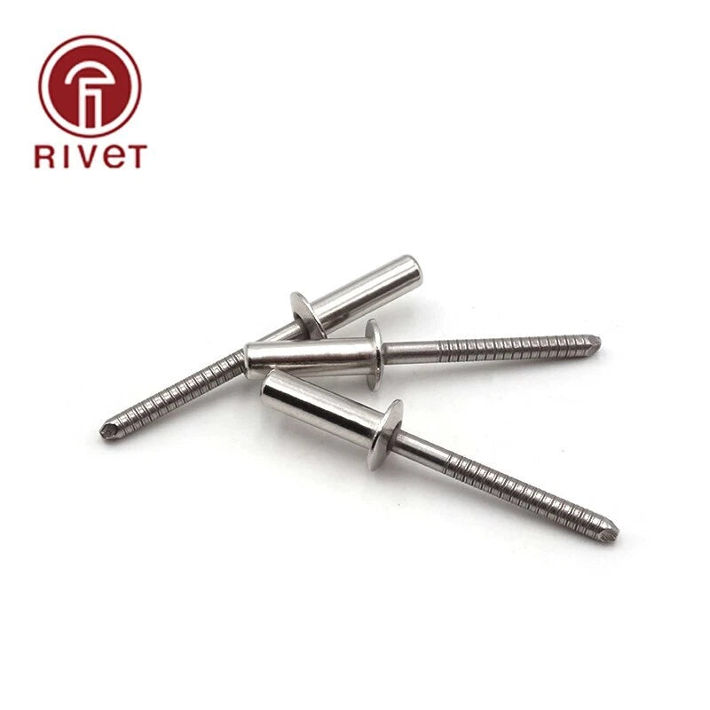 Gb12615.4 M4.8 Iso 16585 Stainless Steel Domed Head Closed End Blind