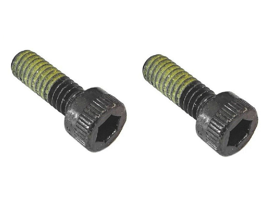Paslode Nail Gun Screws x2 900754