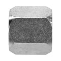 0304-C-05  HYDRAULIC FITTING  1/2"-20 FJ Hex CAP - 0304C-05