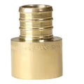 XFITTING 3/4" PEX B x 3/4" Female Sweat Adapters 1 Pack