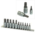 1/4" & 3/8" Crv Torx Star Socket Set T10 - T60 Chrome Vanadium Bits &
