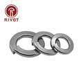 316 Stainless Steel Shells Pad Spring Lock Washer Gasket M10 M12 Free Shipping