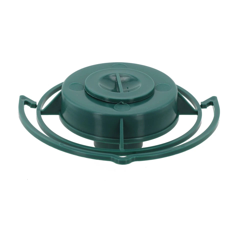 Add A Touch Of Elegance To Your Garden With This Attractive Bird